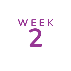 Week 2